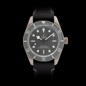 Tudor Black Bay Fifty-Eight Silver (2021)